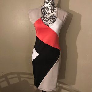 BNWOT Color Block Dress